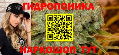 сатива Бийск